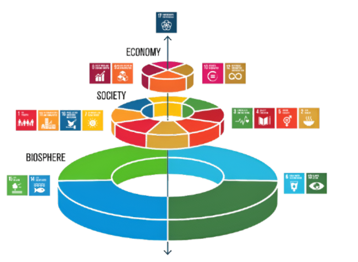 UN Sustainable Development Goals grid